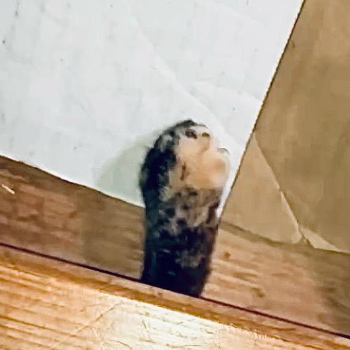 D507812d e4e4 46c8 9f5d fcec96746f1a 1732472053536