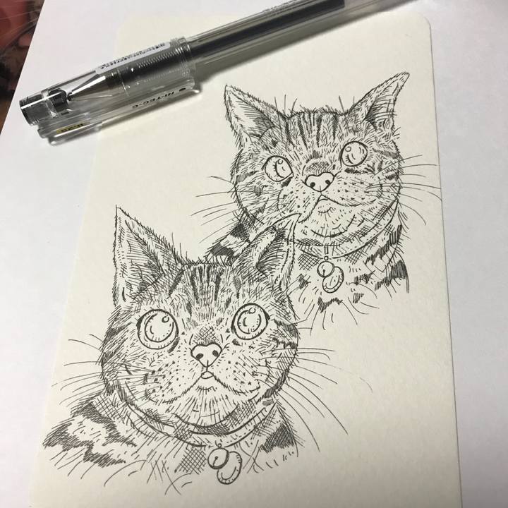 D5078823 db22 4955 812e aeeff43ce75c 1620341199186