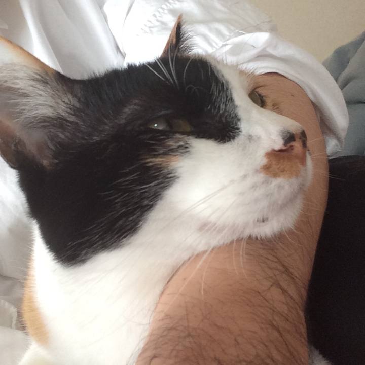 D507b2b5 d718 4ac3 9b3e c4ae20a611ed 1516419774885