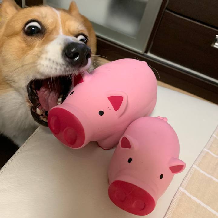 D507eb79 596a 4f57 a2a6 0c792fe19835 1559745965119