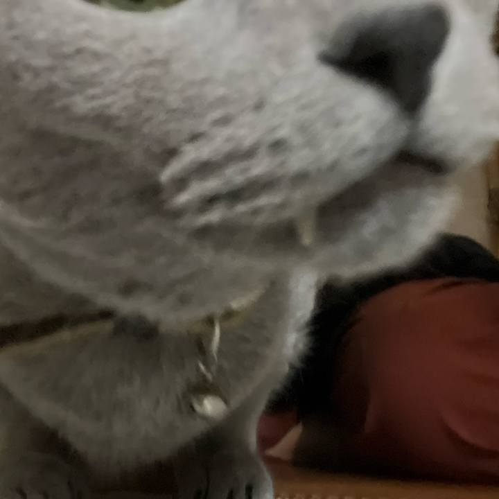 D507fd90 c0cb 49e3 a62d d2284c093b55 1728381739613