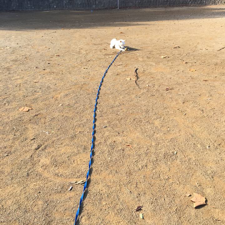 D50801d1 da36 468d a7e7 49ba7a908b22 1542804368916