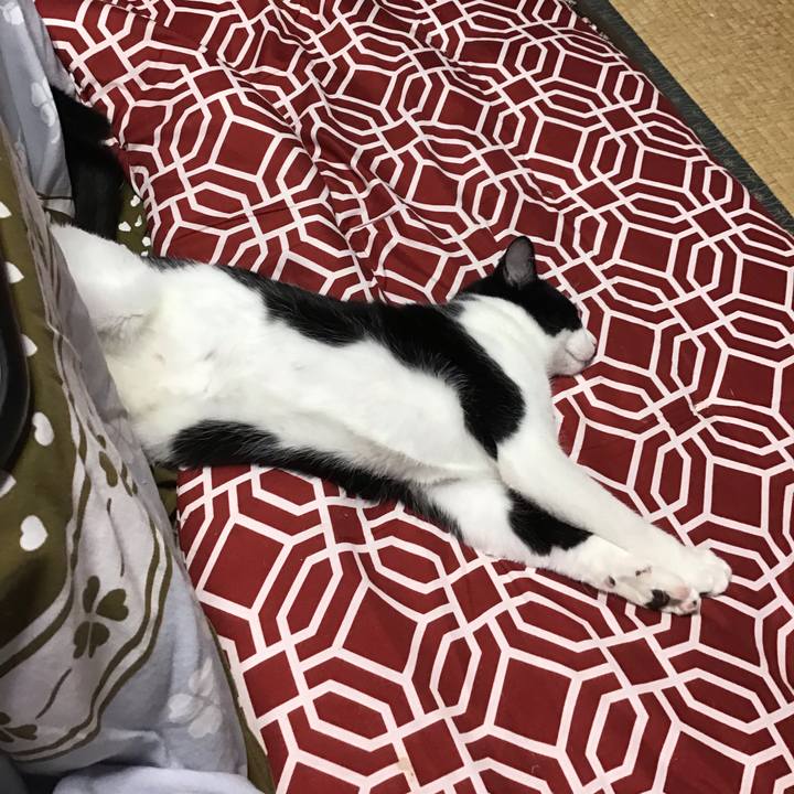 D5080742 ec25 42f7 a46f d09107771a6a 1634876124699