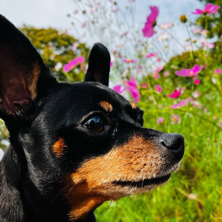 D5080c83 afe3 4e33 bb74 e367c68de777 1729948138812