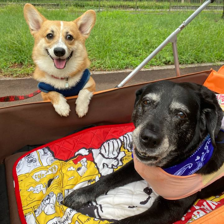 D5082a50 4549 494b ad6b 51723995aa7e 1694819335403