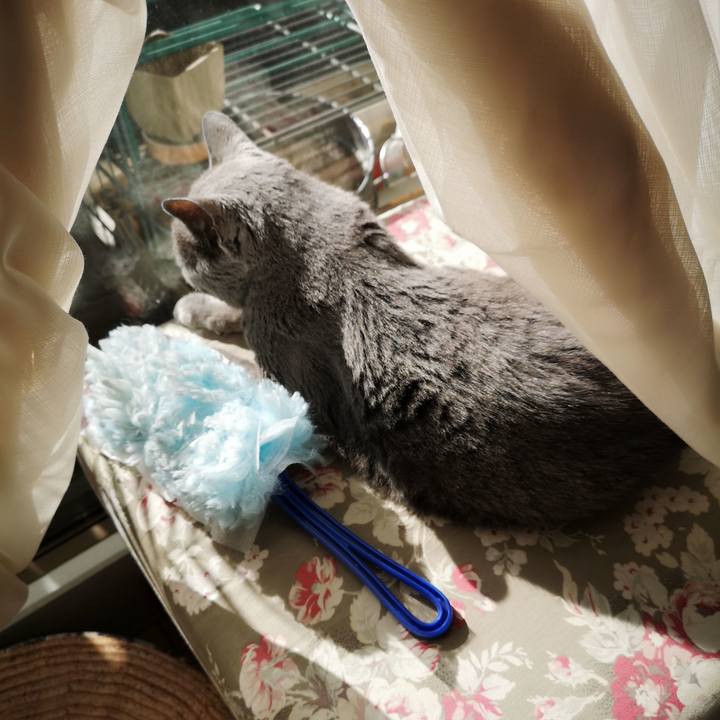 D5085334 1153 443e bdad a4f60a622dbf 1577498823112