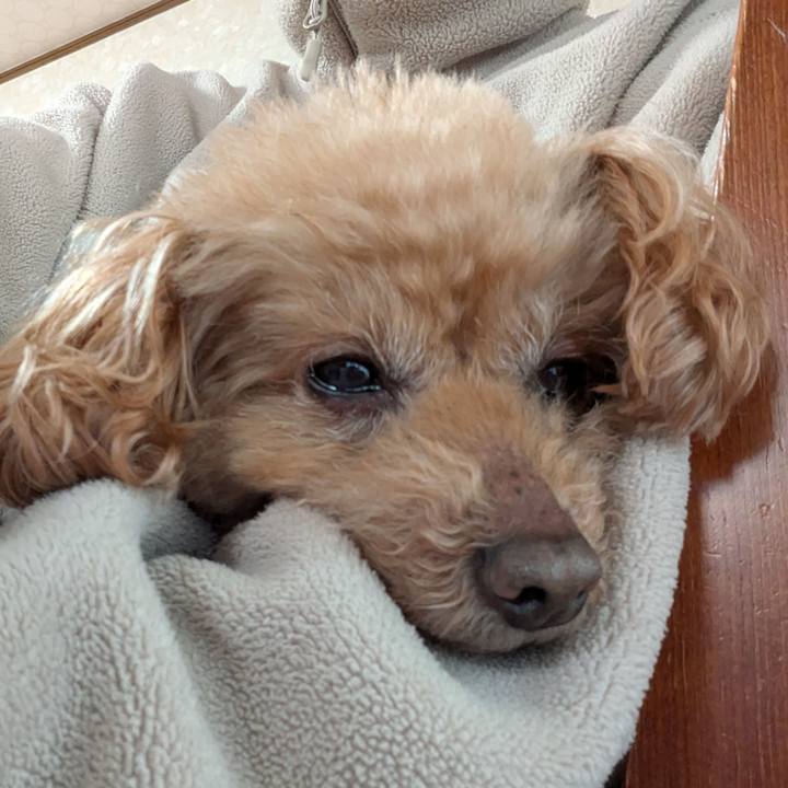 D508c308 9412 4ca0 b61b df99462adc61 1770948004027