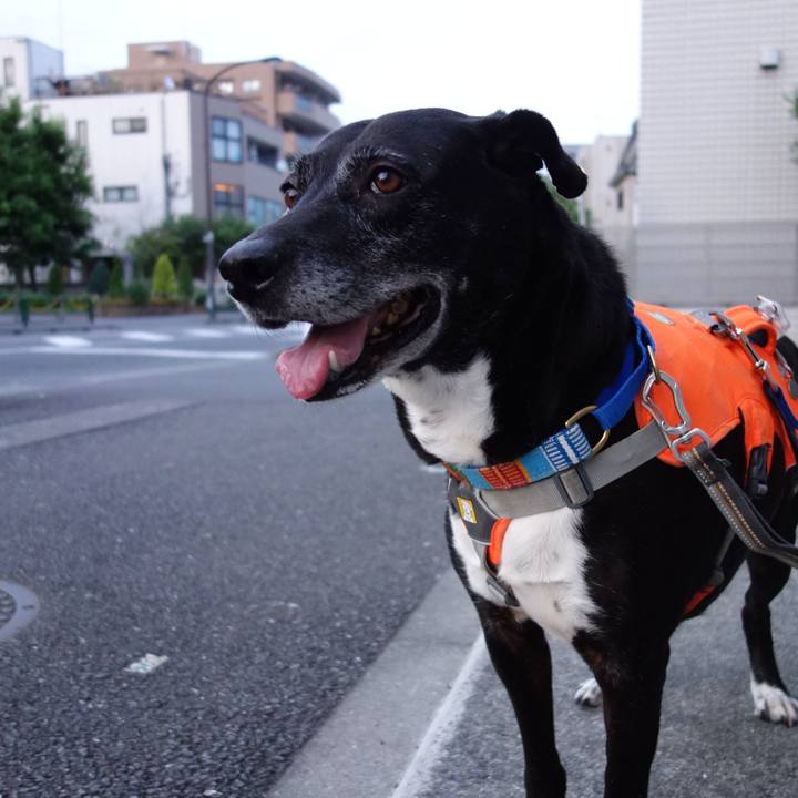 D50953c4 df14 46c2 85d6 81a708b6442e 1749726309591