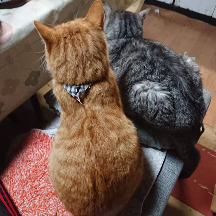 D50981ef ce68 4da2 a6b9 b9f164714104 1605995879742