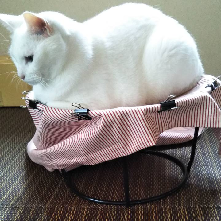 D5099fc4 be7b 4ce0 a32d 4f6608c7d7f1 1562676388162