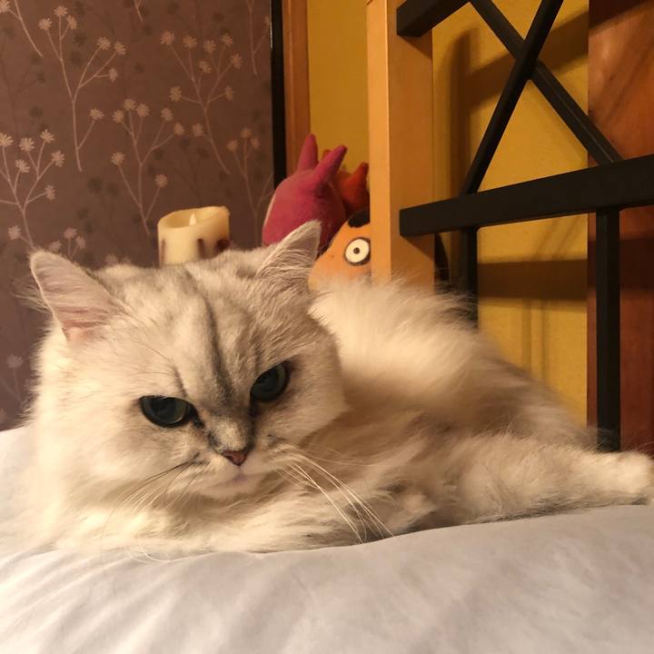 D509b2a4 45bc 4e67 8332 e5a261f2db36 1628377668649