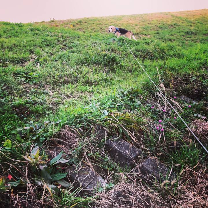 D509cc75 7519 4fd6 a0ac 67055df4b915 1543411342595