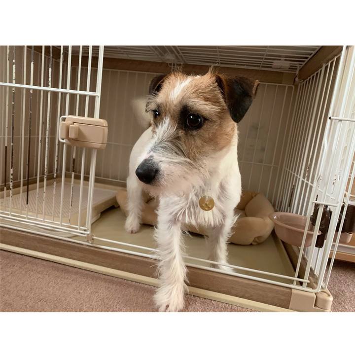 D509e2f3 d834 4594 8cce f5ef25f2255e 1588899736728