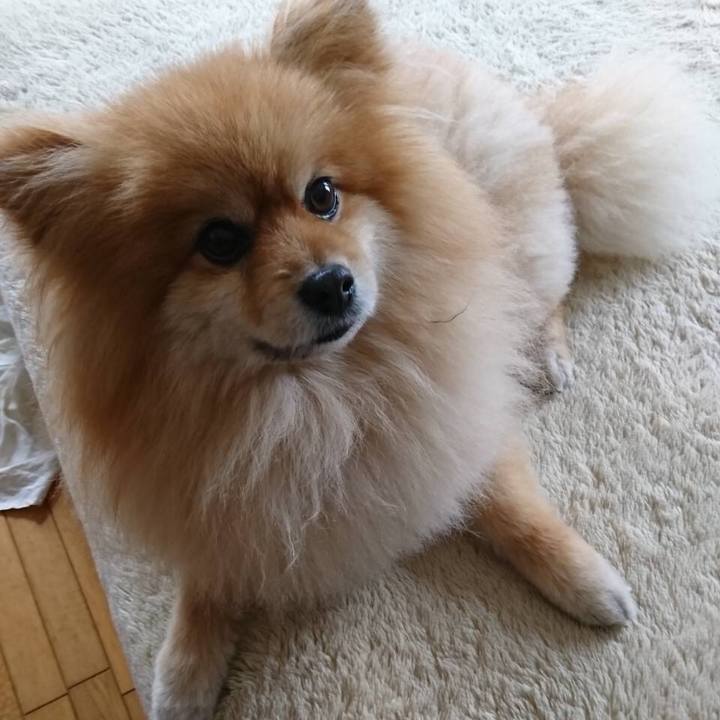 D50a1373 66d7 48c4 ad66 e476c69db5bd 1555201460089