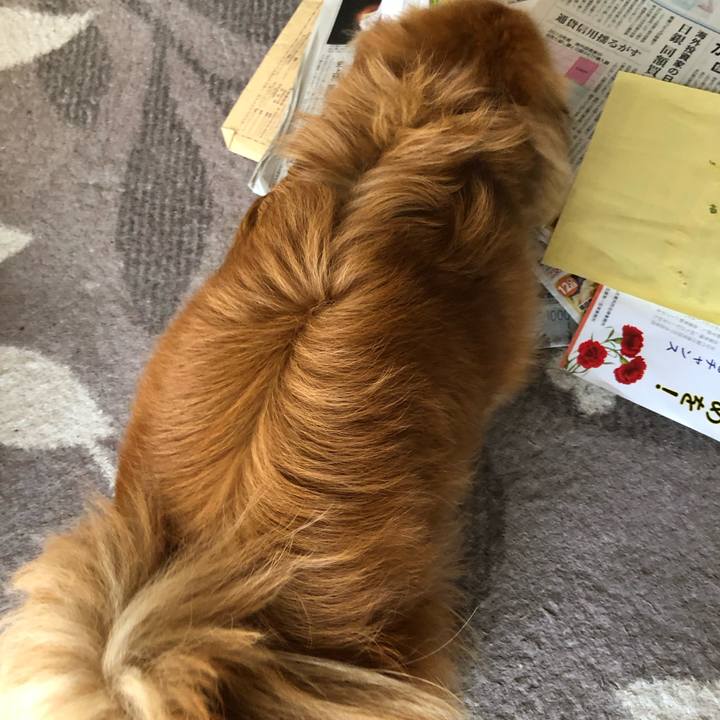 D50aa629 8dc2 4d55 b1c6 84974f009d28 1555278897710