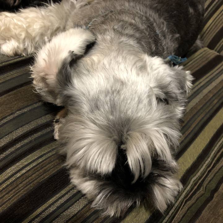 D50abad0 eb60 4cfb 9cd8 241b3ce7f208 1571140337670