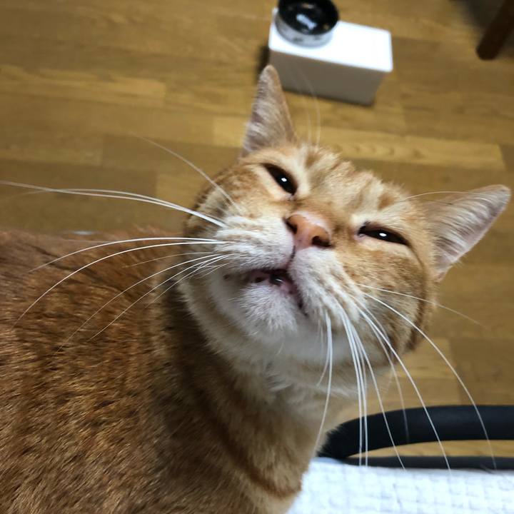 D50adc1f 9471 4304 8650 24352f5f94a0 1591529566888