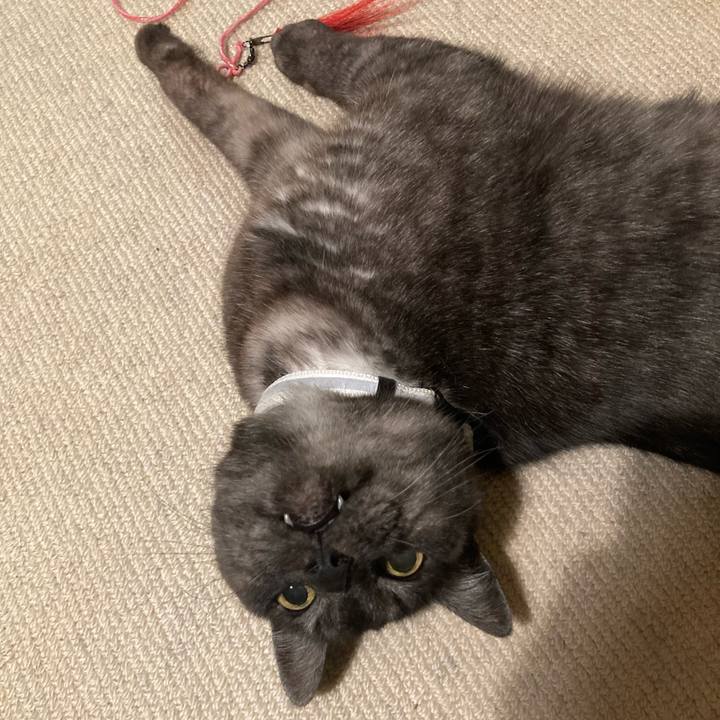 D50afffa f820 4ceb 869d 0194aa622b04 1768226153284