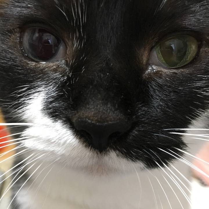 D50b0dc1 3ee6 487b a755 92ca1506e8ad 1556377193382