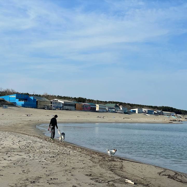 D50b154e 1a59 47d1 9d41 0ed22bda0c7c 1712878846309