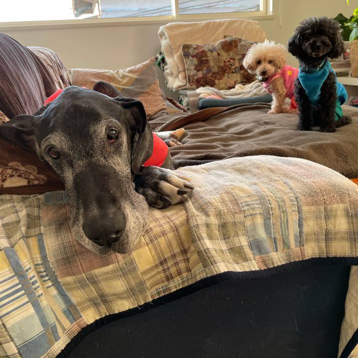 D50b1b45 3721 47cb afd2 1667e39f1cfe 1644186244902