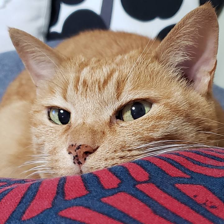 D50b221b c3ae 4e91 b4e4 7c1efcd19be8 1716636717195