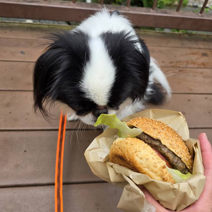 D50b39d1 4882 4712 a319 d6a0f29316d7 1757924669745