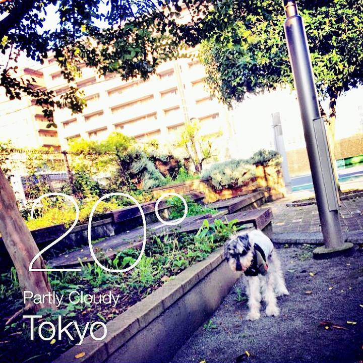 D50b7469 d56b 439b bc9f 6e983b3debe0 1529617538563