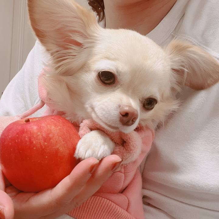 D50b846d ad7e 460e 8288 da8c5539ef17 1669084117215