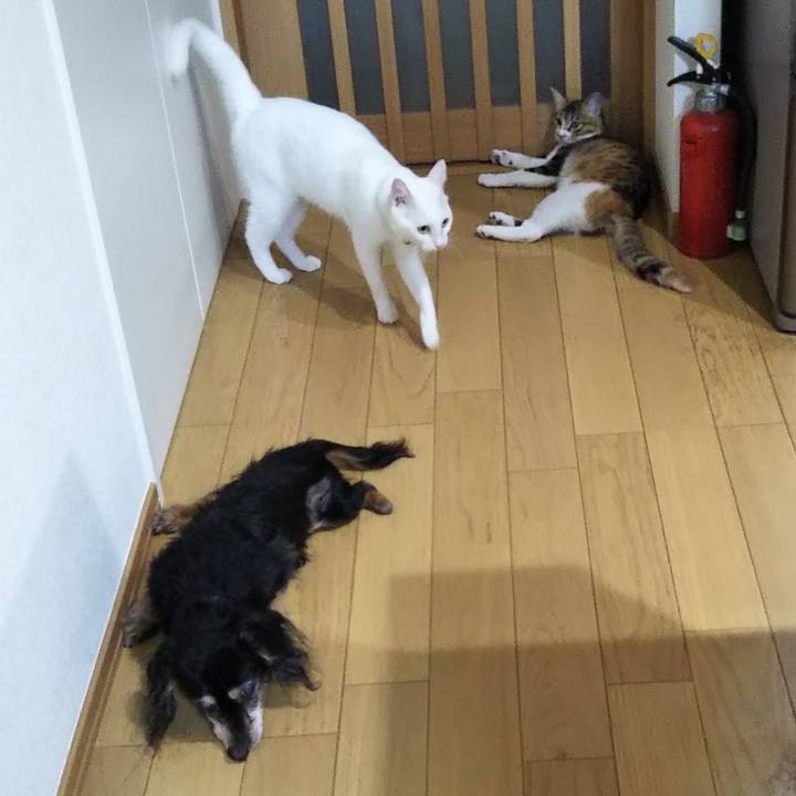 D50be2ad 3865 4c9d ae52 74a382f4184c 1637102008220