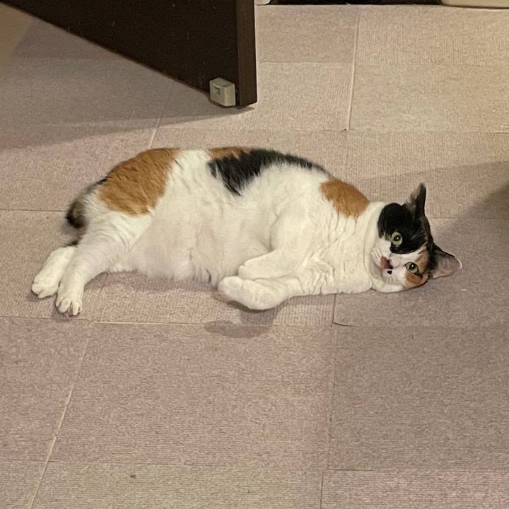 D50bf1a5 3a1e 4daa 8aed 8daf0b9d681c 1732459599578