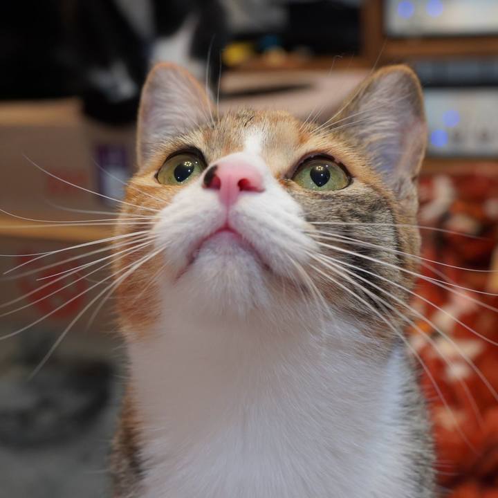 D50bf94b 0c90 43b2 b791 278a78cd64ec 1586217187335