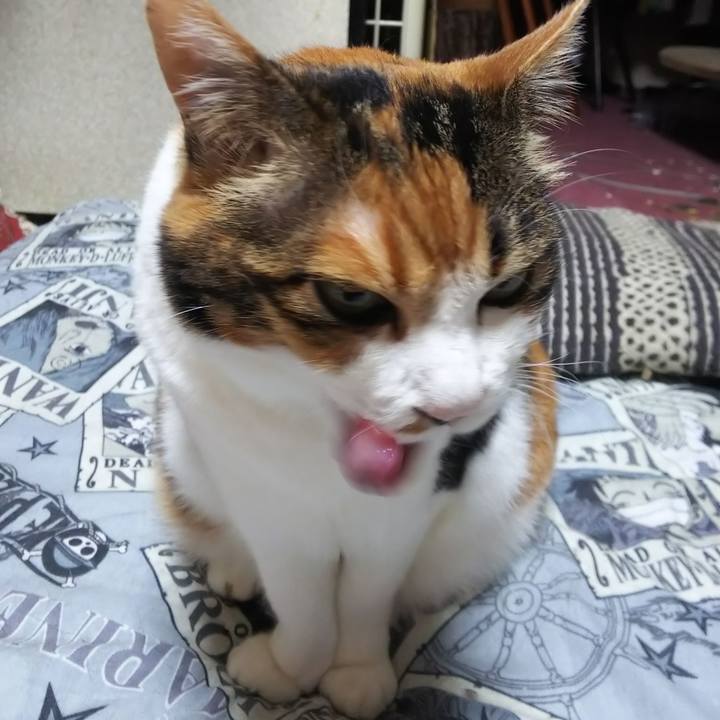 D50c418d 5c48 4070 b682 1d3a54665f13 1566510736721