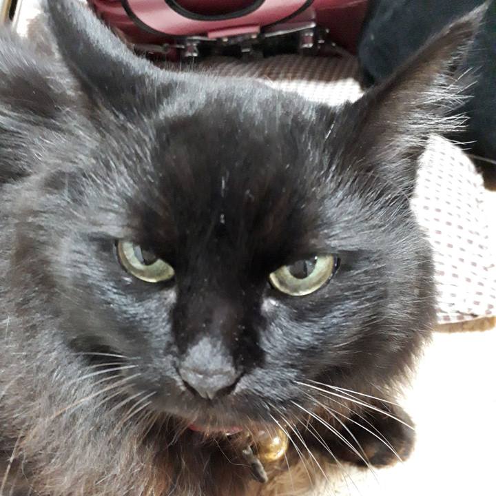 D50c4e8f ee34 4fe5 9069 3665b3bbd72a 1542800963876