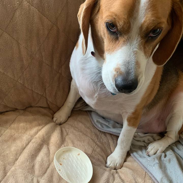 D50c5d02 390a 433c 93d9 e97d59bbe006 1645062931240