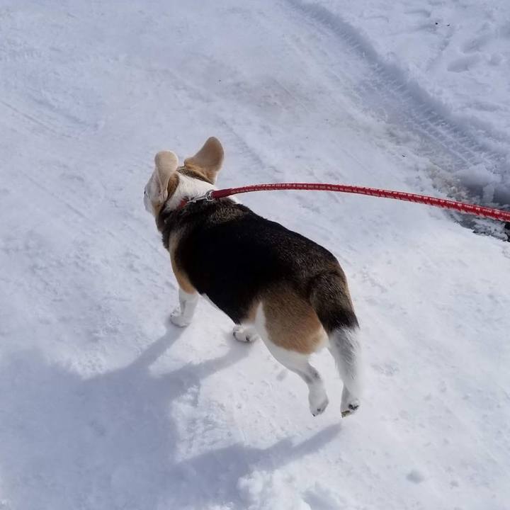 D50c6c2a 7a03 41b5 ae19 2586b8349f3a 1769124860228