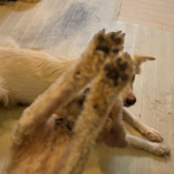 D50c7cde f9a7 45f6 a1bb b7072e2c0f6f 1760177096421