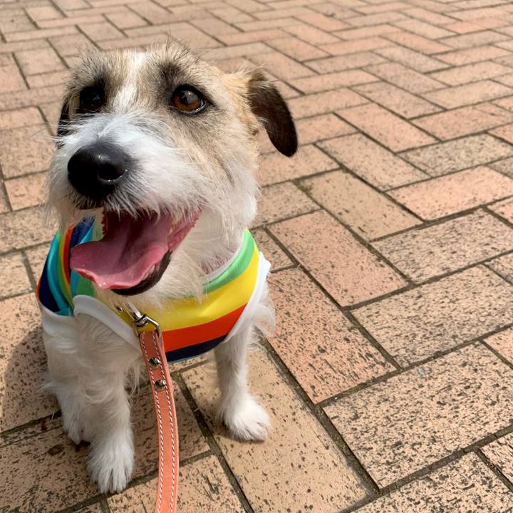 D50ca640 6554 4a37 988a 6384e3ec873e 1683121559216