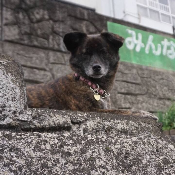 D50ca6f5 e5b0 4f04 869b 0e5f006cbc9e 1525958541132