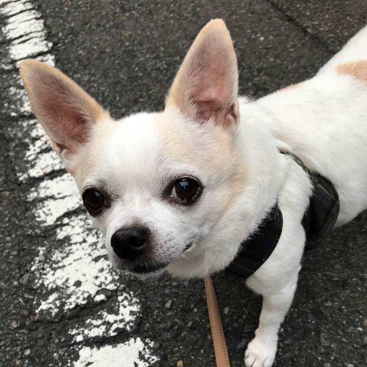 D50cac62 4453 447d 9248 bdf6953a1aca 1535464570070