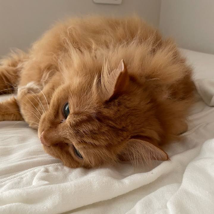 D50cbf1e 1018 4c01 b370 ff668f5eec88 1689026296194