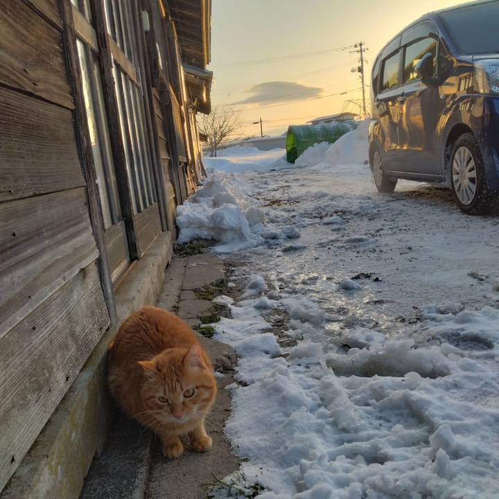 D50ccb84 df8f 414b 88fa d17d45b66224 1676502922612