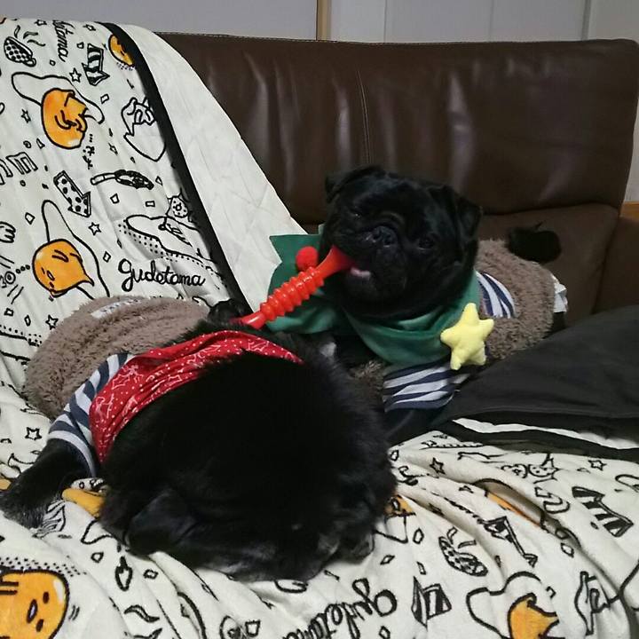 D50cf053 8e39 4a7f bd97 e47101bc4025 1545927817668