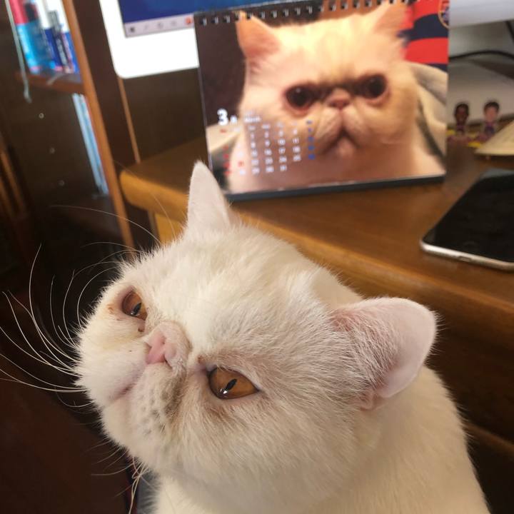 D50cfe6f eb1d 485f 839f 708ca7f2192e 1647430609219