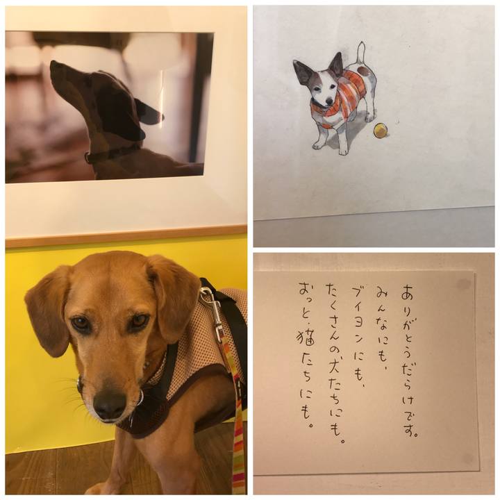 D50d0131 ed3c 40e2 bdf5 af9acffdd16d 1524303037541