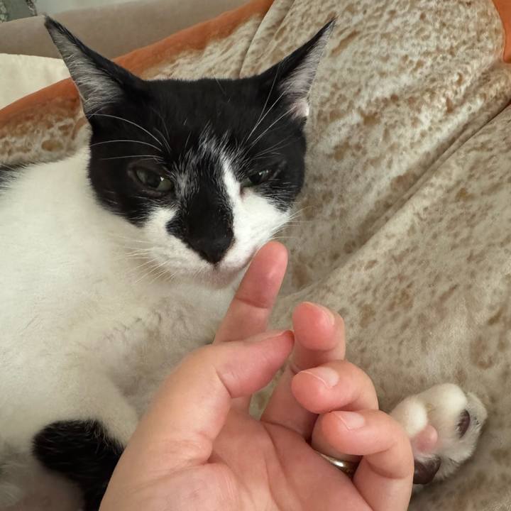 D50d4ece 4f25 468a b59e 8741660faa89 1782002362395