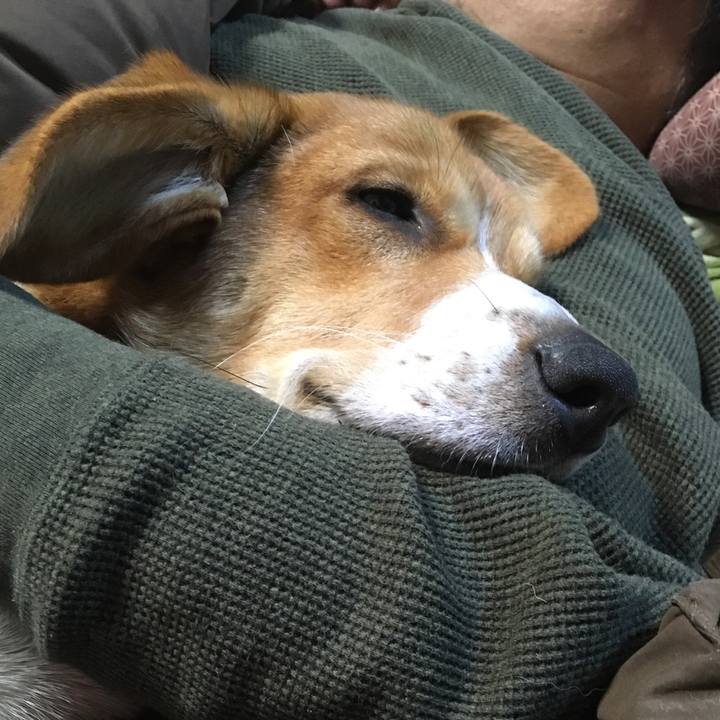 D50d57eb a086 4d7f bb74 ba468a0a519d 1607091315723