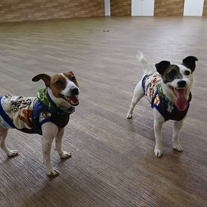 D50db8ba a32a 43d2 90b2 47cd46325d7c 1554520751761