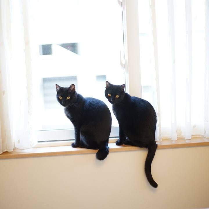 D50dc3c7 a2e4 4c21 a78b 879c8bb77bd3 1521416411945