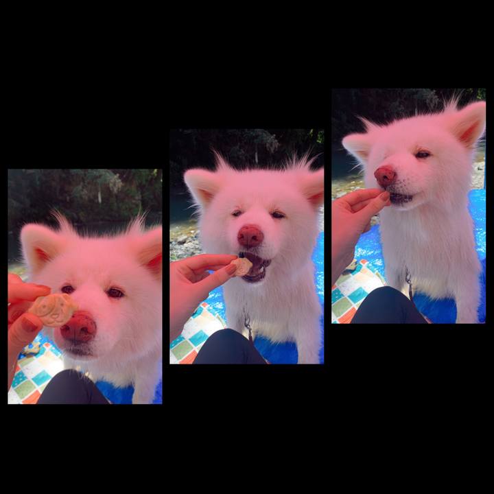 D50dc9f2 07e6 4c4b b450 9402a0ec6eb0 1597486616431